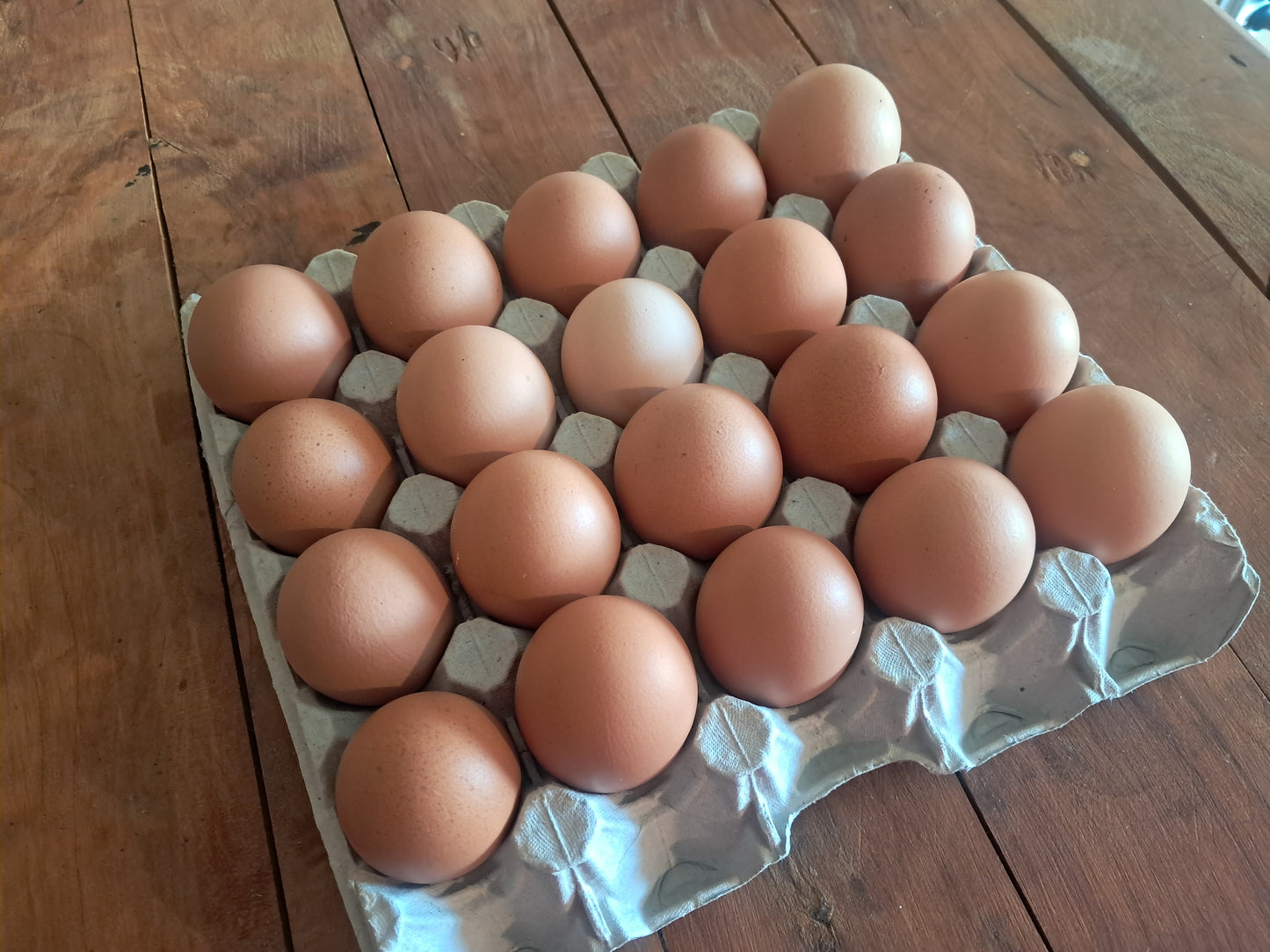 Mixed Grade Eggs