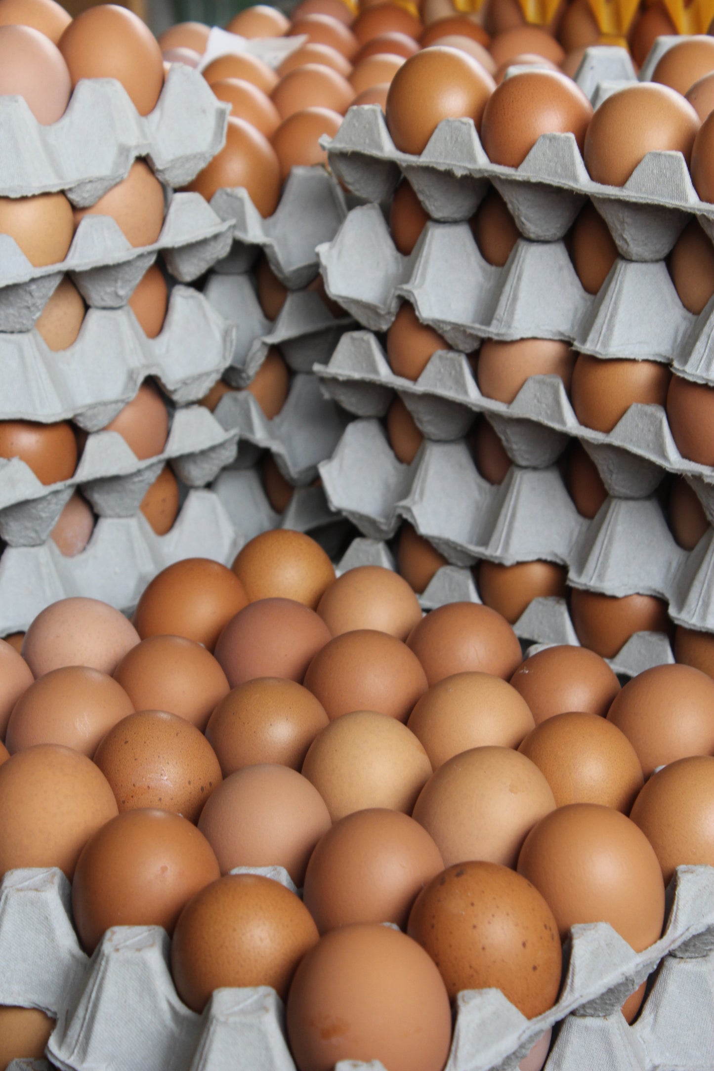 Mixed Grade Eggs