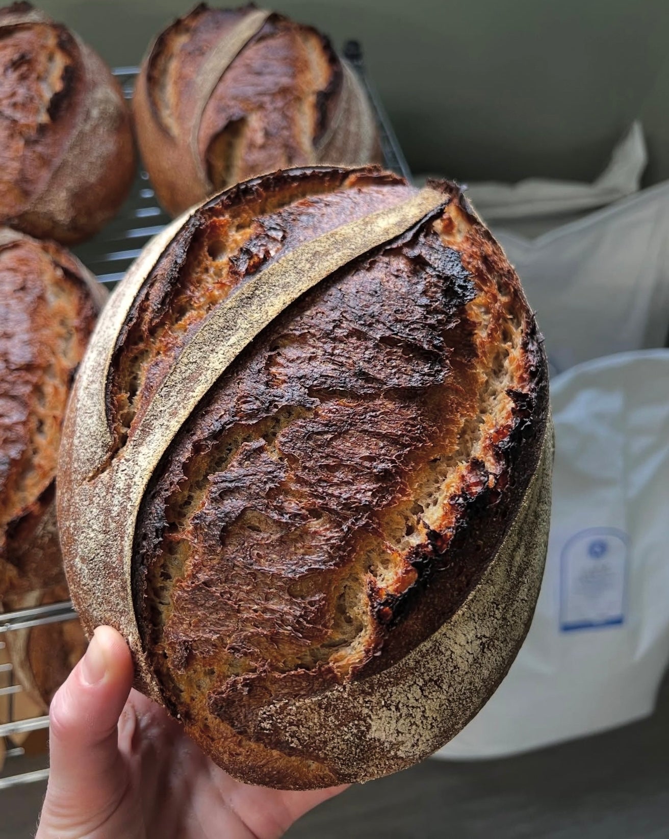 Crouton Bakery Country Sourdough
